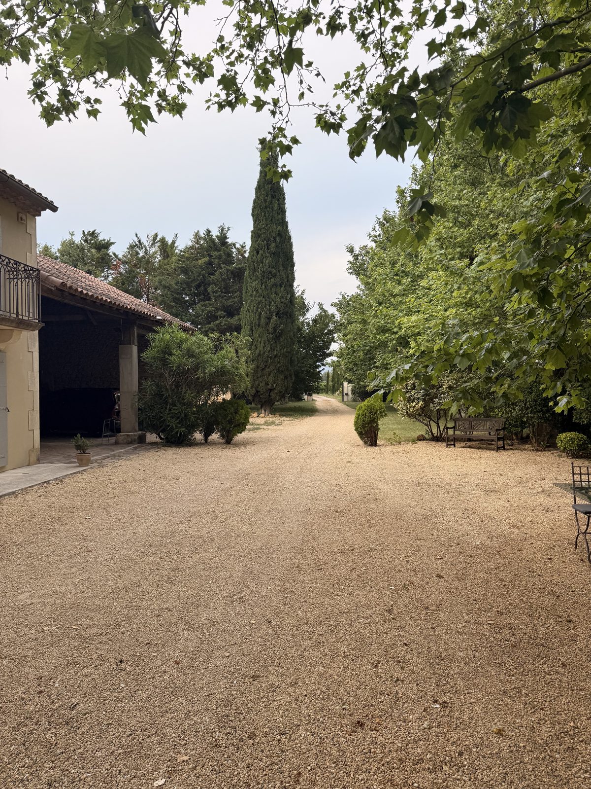 The gravel drive at the mas running away between trees