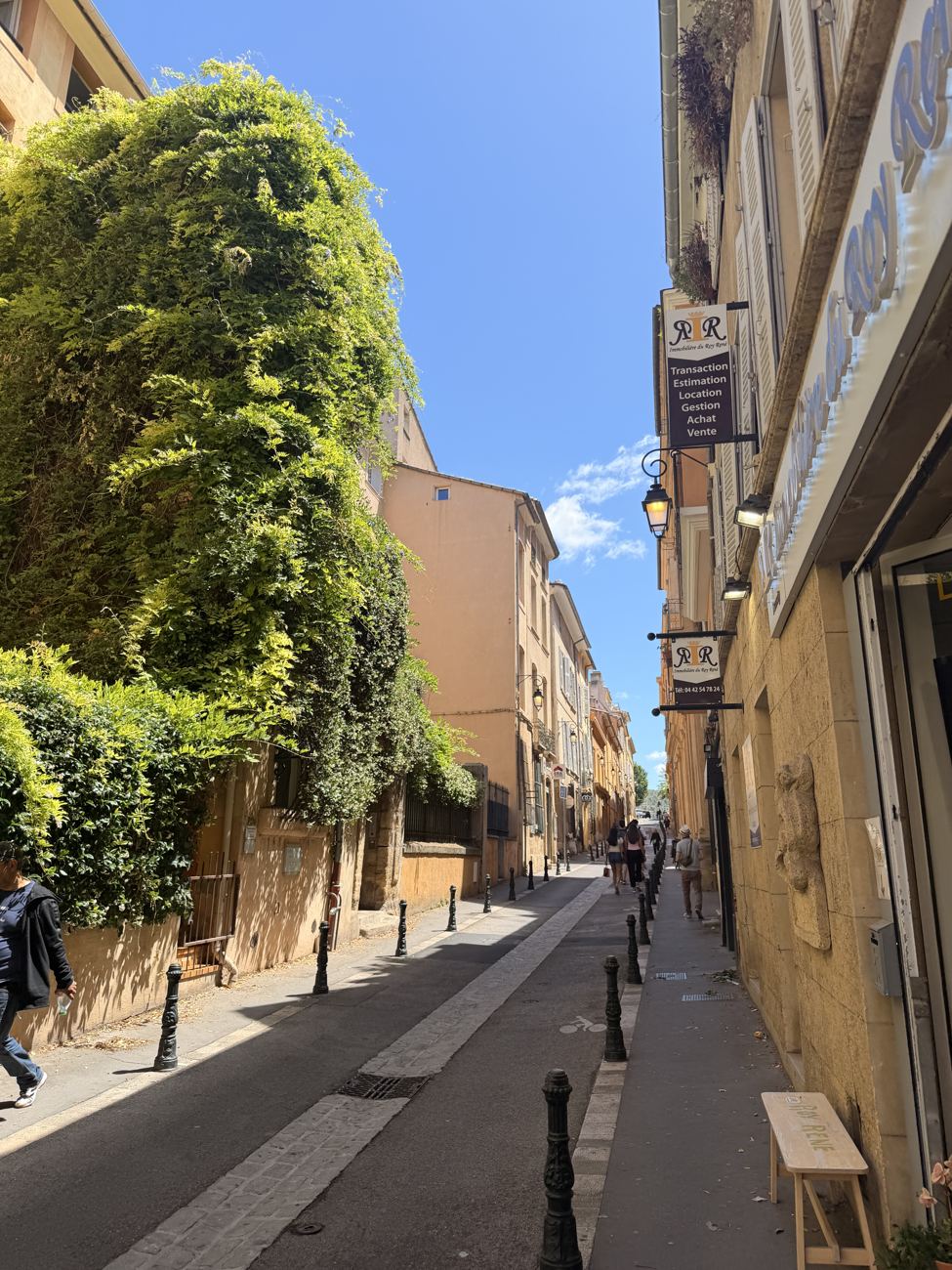An ivy-draped narrow street in the old town of Cannes, sunlit, climbing