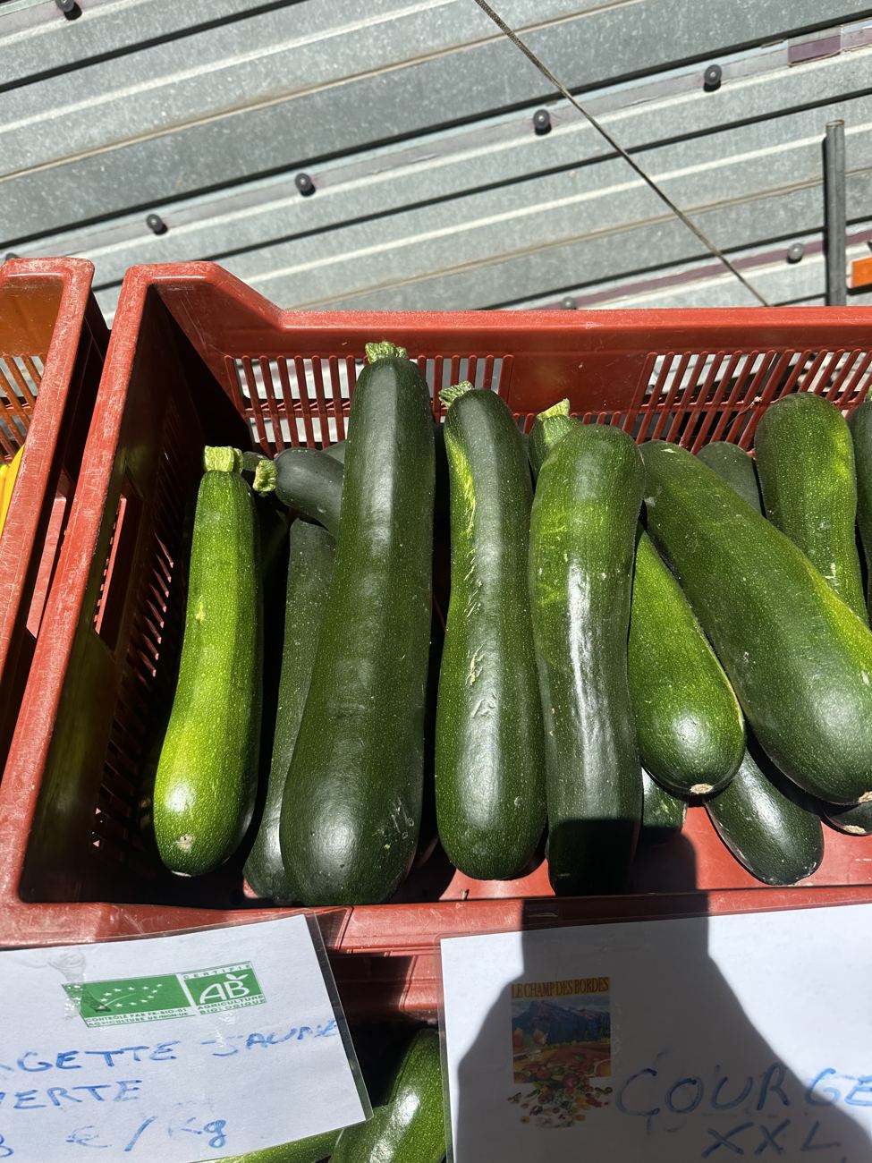Red crates of large courgettes at a market stall, with a handwritten price card