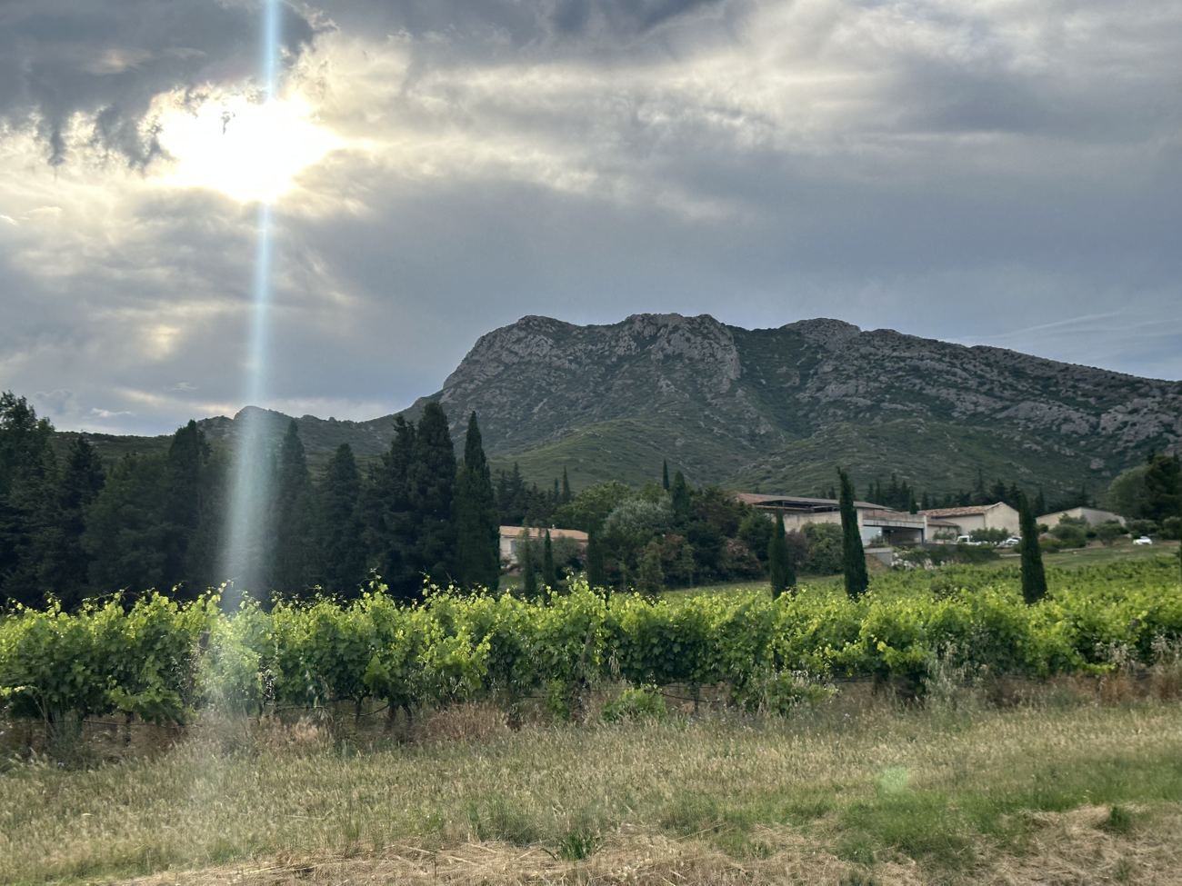 Vineyards running toward the Alpilles in the late golden light, a burst of sun over the hills